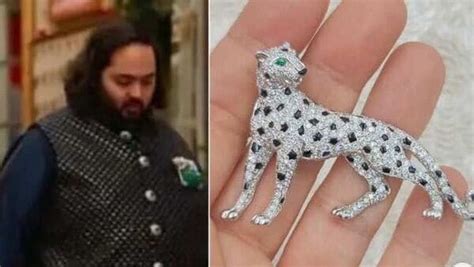 cartier panthere brooch|anant ambani cartier brooch.